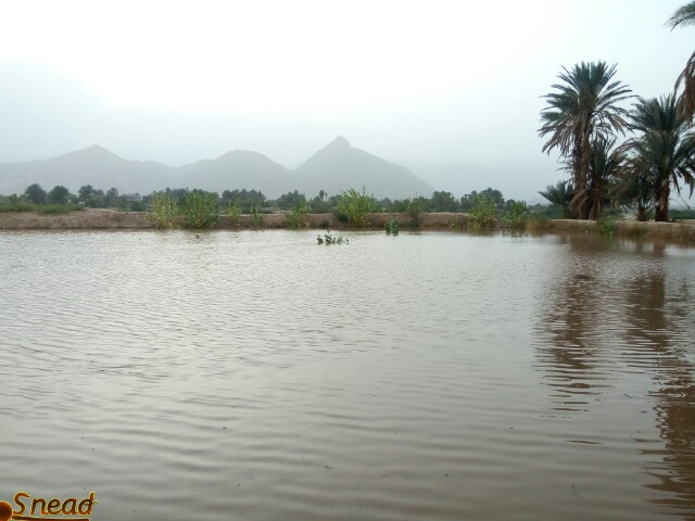 وزارة الزراعة تهيب بالمزارعين أخذ الحيطة والحذر من تدفق السيول