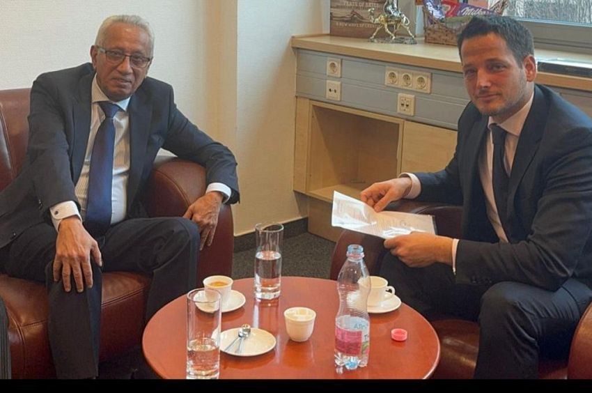 ناجي يبحث مع مسؤول مجري سبل تعزيز وتطوير العلاقات الثنائية 