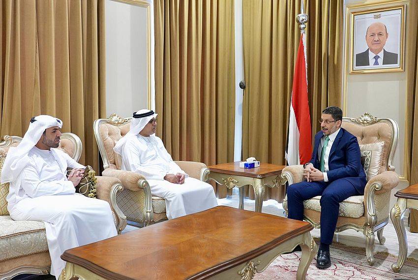 رئيس الوزراء يستقبل السفير الاماراتي لدى اليمن